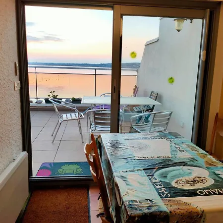 T2 A Balaruc-les-bains, Vue Sur L'etang, Climatise, Parking Prive, Wifi - Fr-1-503-142 شقة