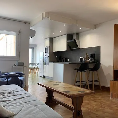 T2 A Balaruc-les-bains, Vue Sur L'etang, Climatise, Parking Prive, Wifi - Fr-1-503-142 *